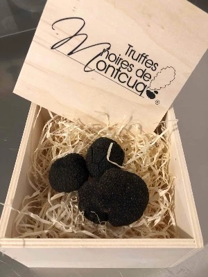 Truffle, black, Montcuq, melanosporum, gift box