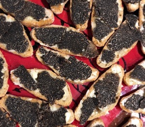 Toasts à la truffe noire melanosporum